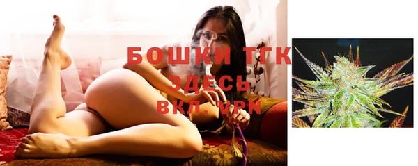 прущие грибы Абдулино