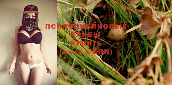 ГАЛЛЮЦИНОГЕННЫЕ ГРИБЫ Абинск