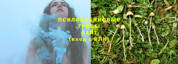 ГАЛЛЮЦИНОГЕННЫЕ ГРИБЫ Абинск