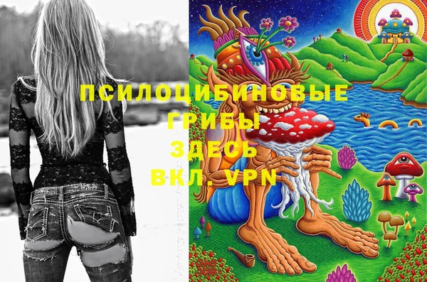 ГАЛЛЮЦИНОГЕННЫЕ ГРИБЫ Абинск