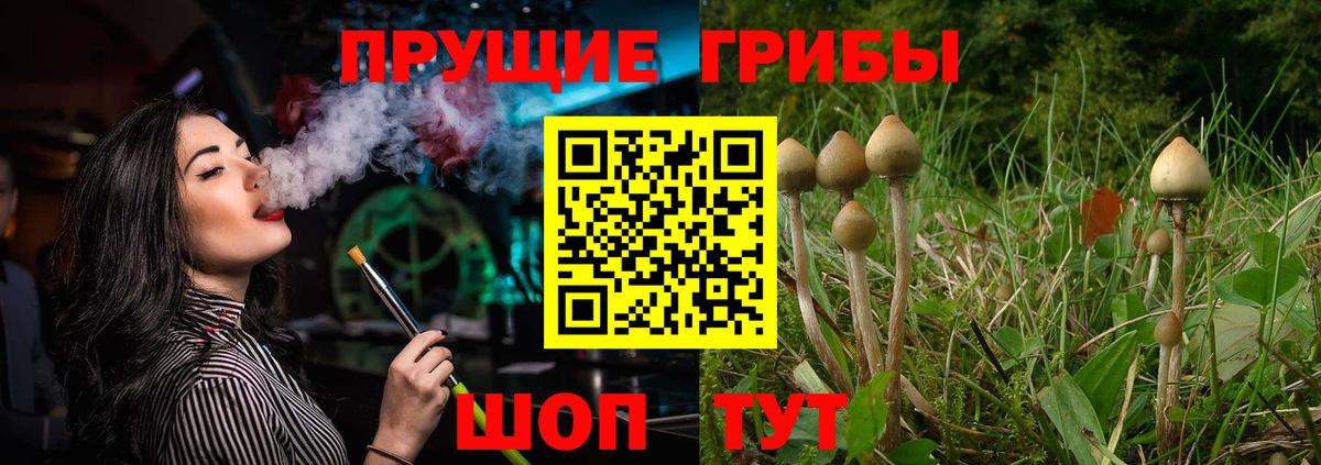 Псилоцибиновые грибы мухоморы  Вход с VPN  Галлюциногенные грибы ЛСД  Сальск 