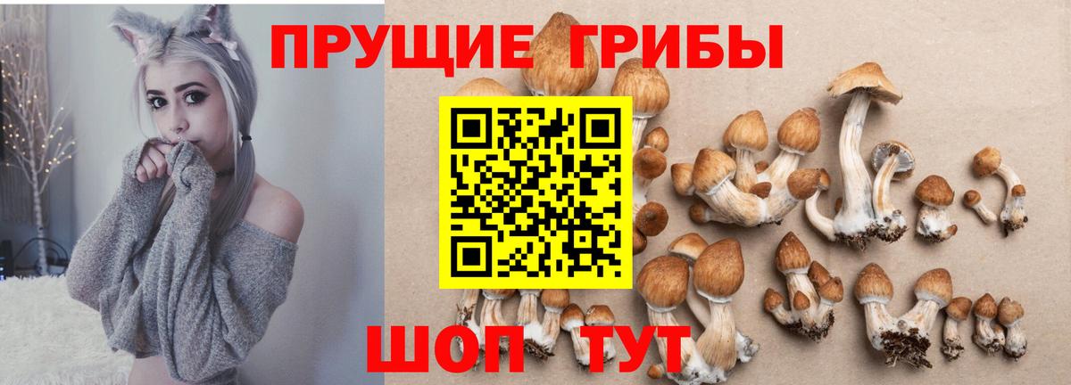 Псилоцибиновые грибы ЛСД Сальск