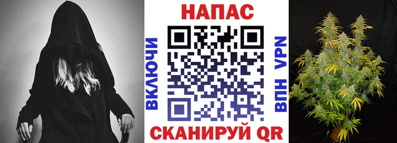 Конопля ГИДРОПОН  площадка Telegram  Сальск  kraken зеркало 